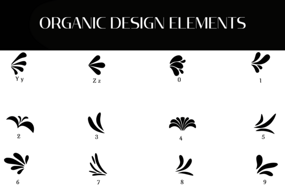 Organic Design Elements Font PNG with transparent background - Preview 3