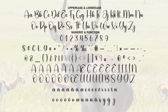 Animals Font - Preview 6