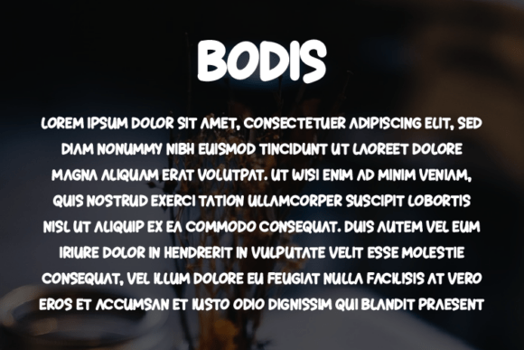 Bodis Font - Preview 2