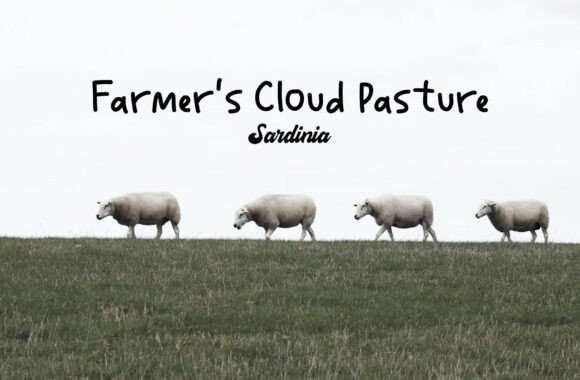 Farmer Marketica Font - Preview 1