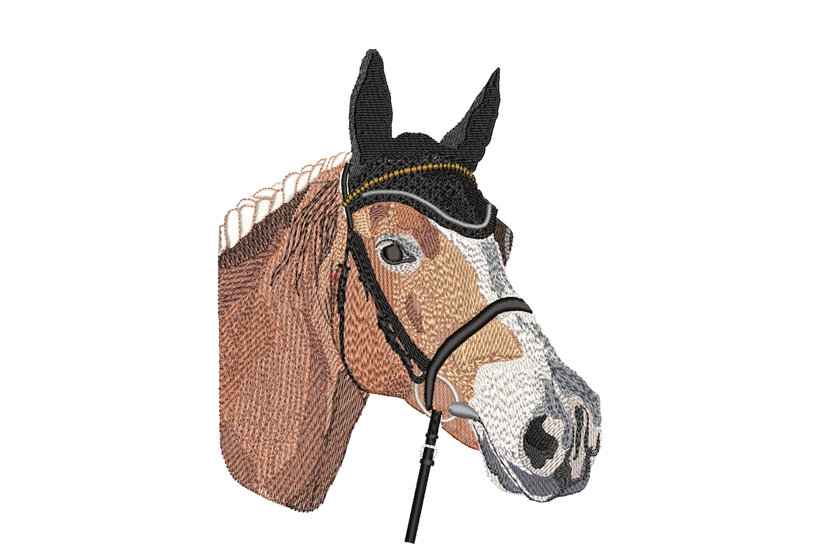 Horse with the Cap
