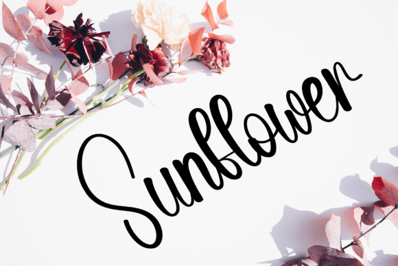 January Chunky Font font preview - 1