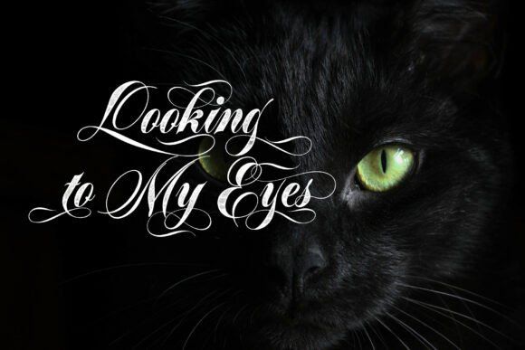 Reivant Font PNG with transparent background - Preview 2