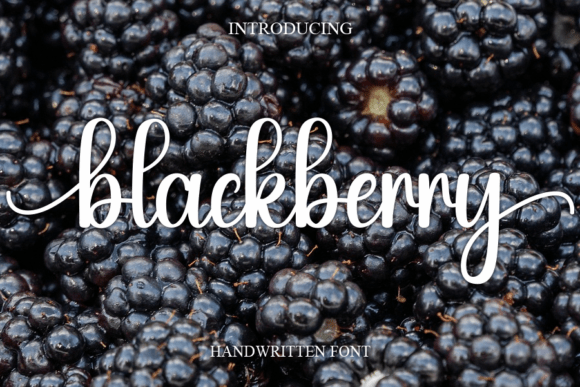 Blackberry