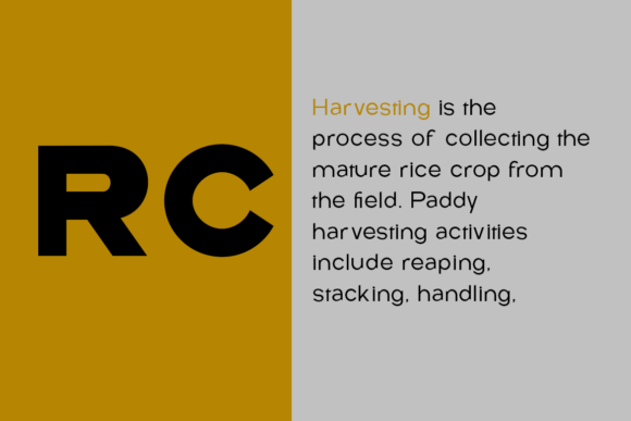 Rice Collect Font PNG with transparent background - Preview 1