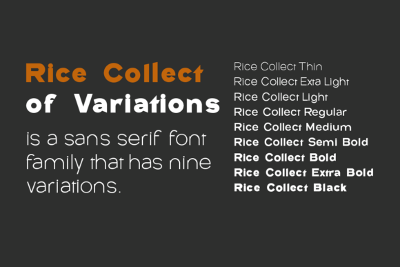 Rice Collect Font PNG with transparent background - Preview 3