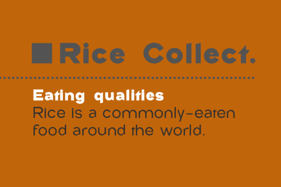 Rice Collect Font PNG with transparent background - Preview 4