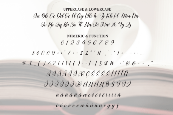 Booklove Stylish Font - Preview 6