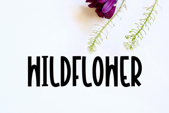 Chocolate Font - Preview 2