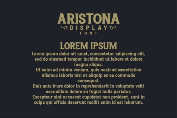 Aristona Font - Preview 2