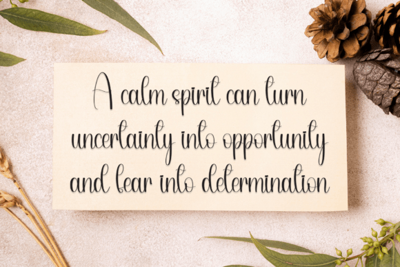 Catalina Font - Preview 4