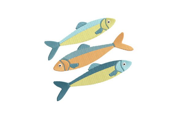 Colorful Fish