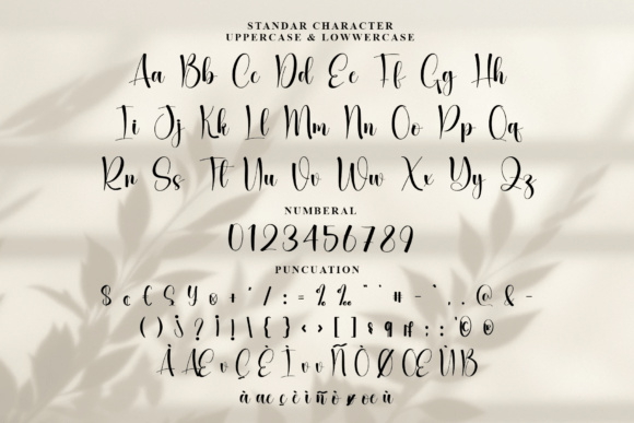 Alignment Font - Preview 6