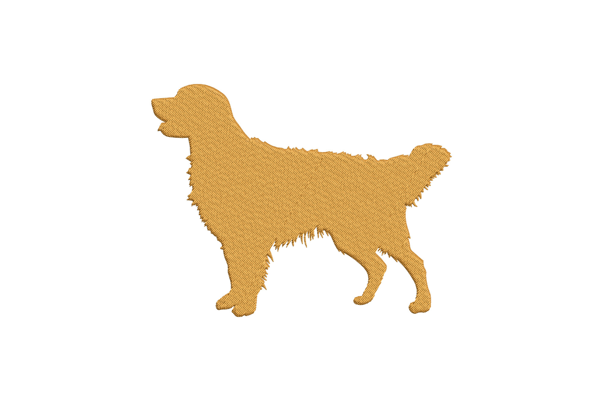 Elegant Golden Retriever Dog