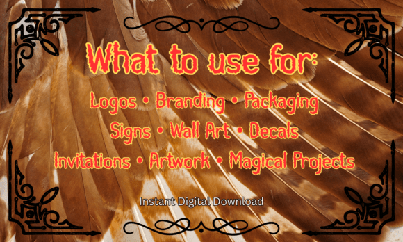 Griffin Feather Font - Preview 4