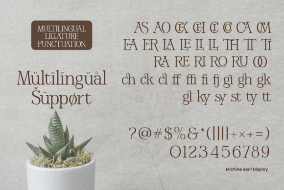 Michine Font PNG with transparent background - Preview 5