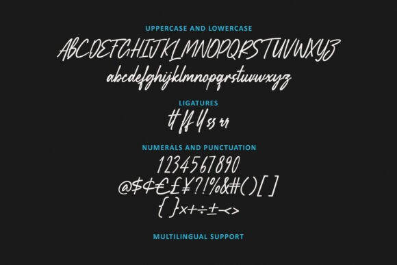 Bafferry Script Font - Preview 5