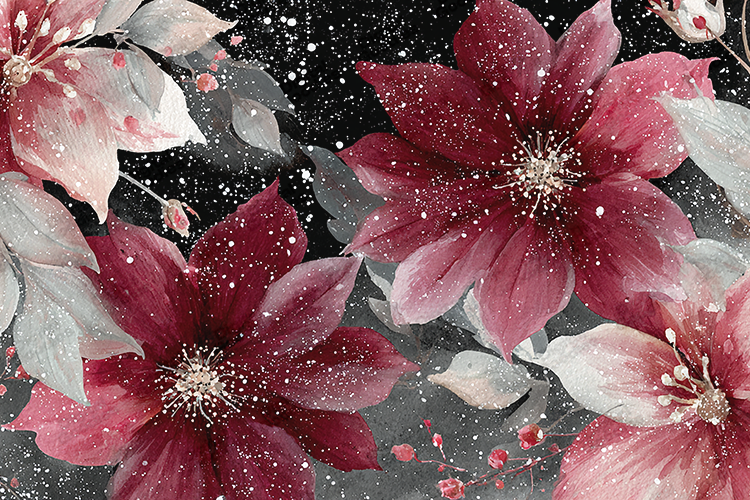 Frosted Plum and Winter Rose Watercolor