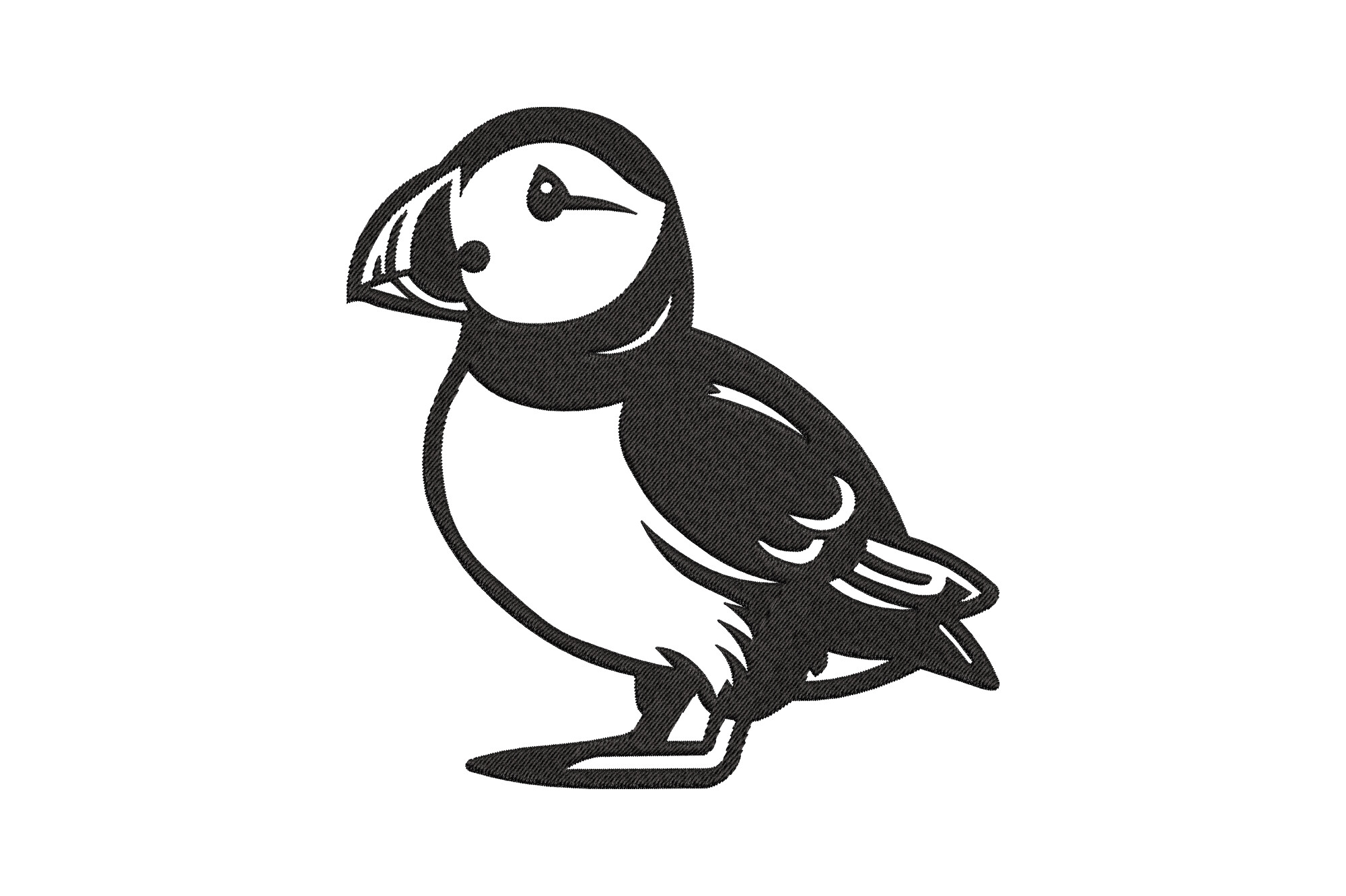Puffin Bird