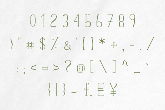 Slim Lines Font PNG with transparent background - Preview 4