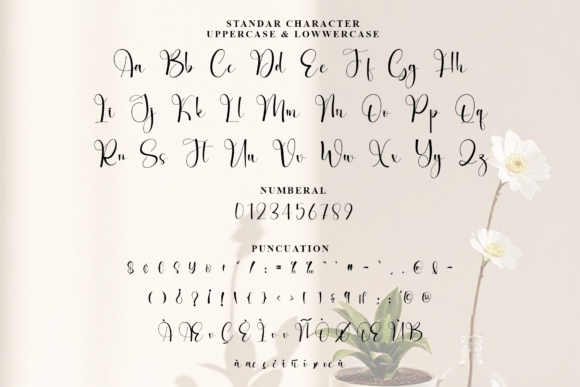 Bridgerton Font - Preview 6
