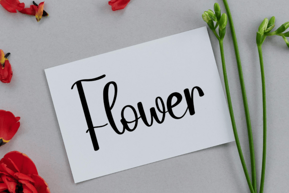 January Romance Font PNG with transparent background - Preview 3