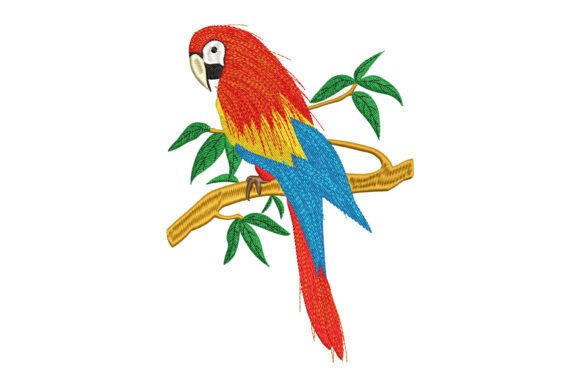 Macaw Parrot Bird