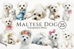 Maltese Dog Watercolor Clipart Graphic by Whimsy Bloom Co. · Creative ...