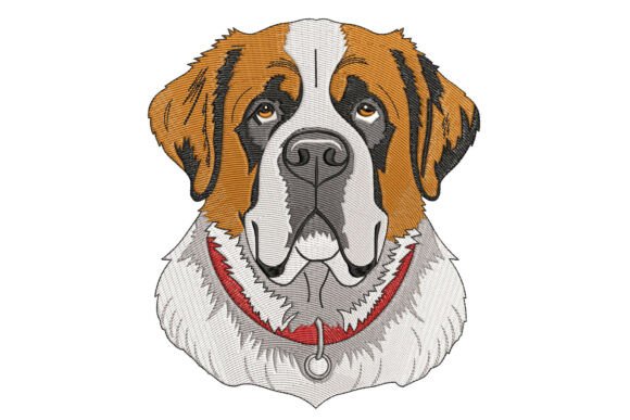 Saint Bernard Dog