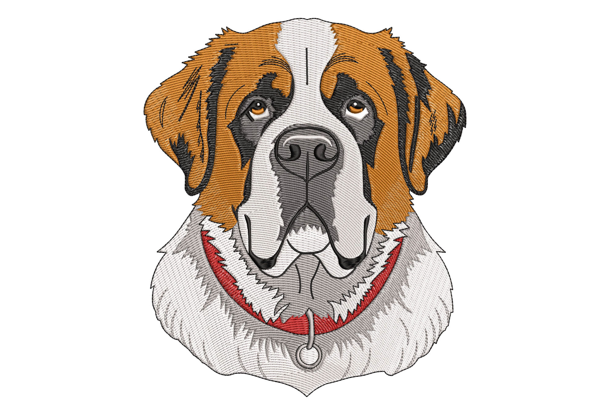 Saint Bernard Dog