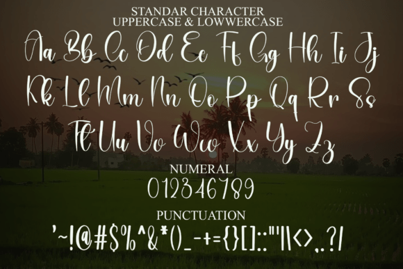 Signature Girlband Font PNG with transparent background - Preview 6