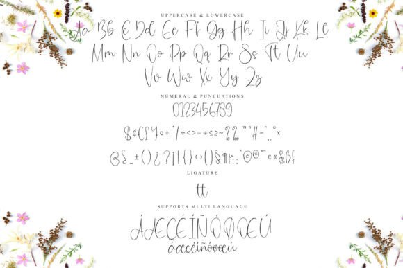 Background Signature Font - Preview 5