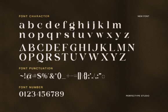 Bagila Font - Preview 6