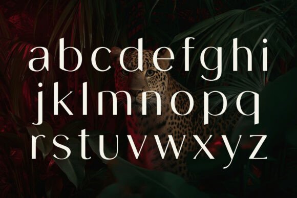 Bellarose Font - Preview 1