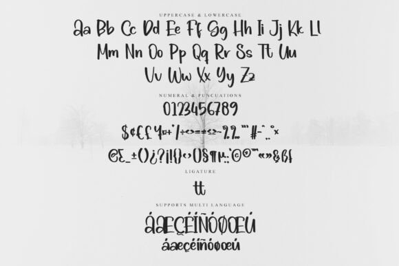 Breaky Display Font - Preview 5