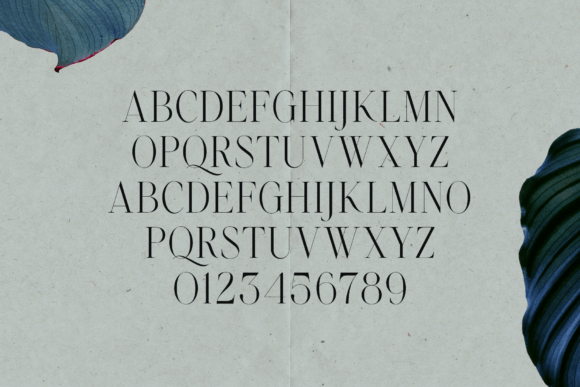 Emotive Type Font PNG with transparent background - Preview 1