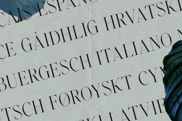 Emotive Type Font PNG with transparent background - Preview 2