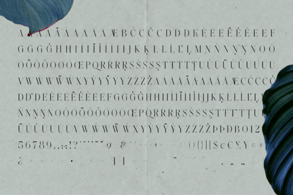Emotive Type Font PNG with transparent background - Preview 4