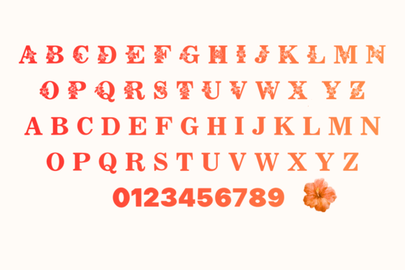 Flower Hibiscus Font PNG with transparent background - Preview 1
