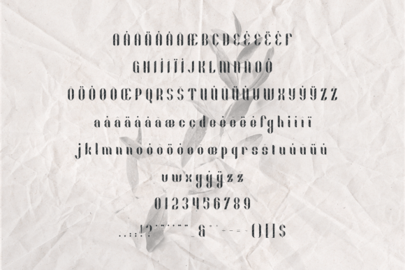 Fika Lines Font - Preview 4