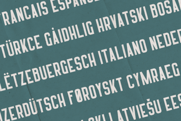 Harrison Font - Preview 2