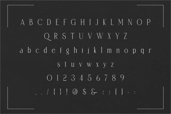 Amerta Font - Preview 3