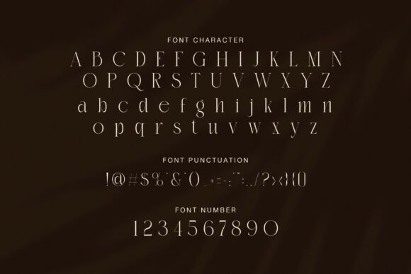 Bidant Font - Preview 6