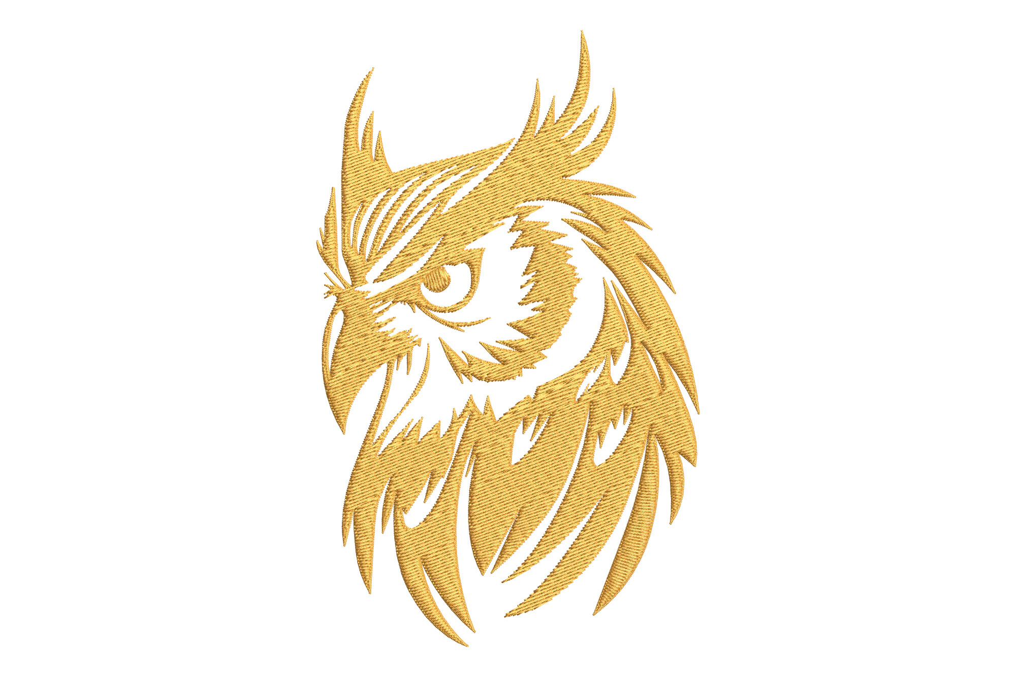 Elegant Owl Bird