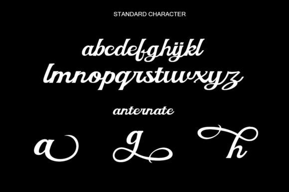 Qailyna Font PNG with transparent background - Preview 3