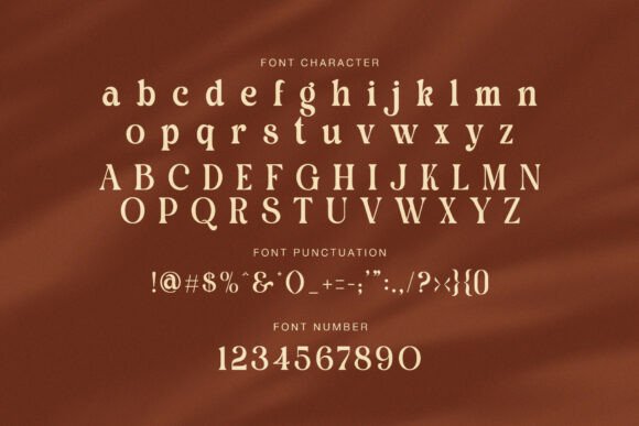 Quine Camera Font PNG with transparent background - Preview 6