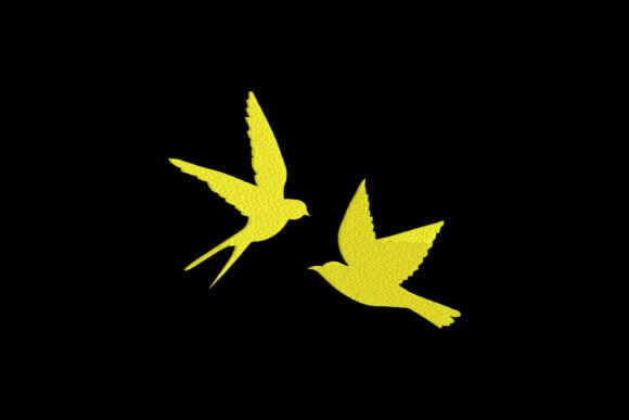 Swallow Bird