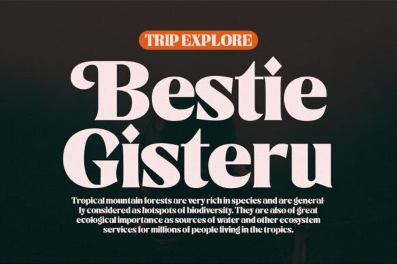 Catiler Font - Preview 5