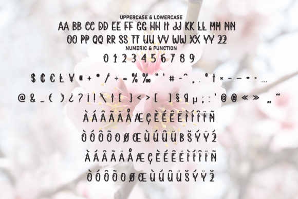 Chery Blossoms Font - Preview 6
