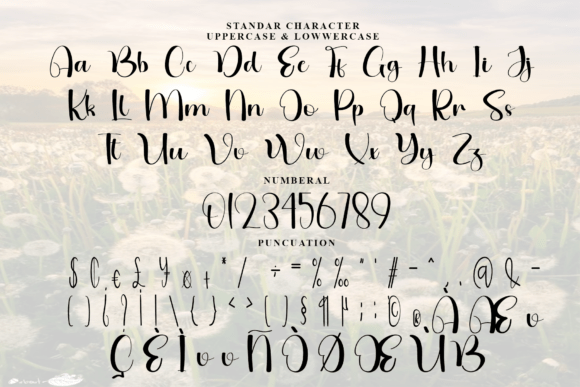 Dandelion Font - Preview 5